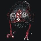 Am 2.2.20.22 geht`s los.